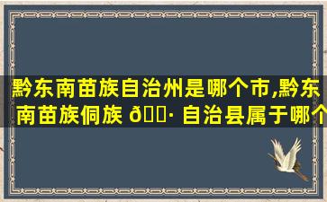 黔东南苗族自治州是哪个市,黔东南苗族侗族 🌷 自治县属于哪个市